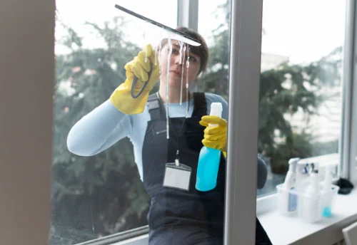 Nettoyage de vitres intérieures et extérieures au Mesnil-Rouxelin